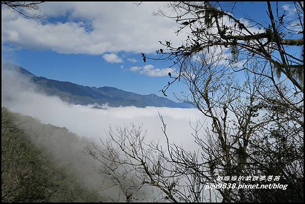 武陵農場80.JPG 武陵農場80.JPG