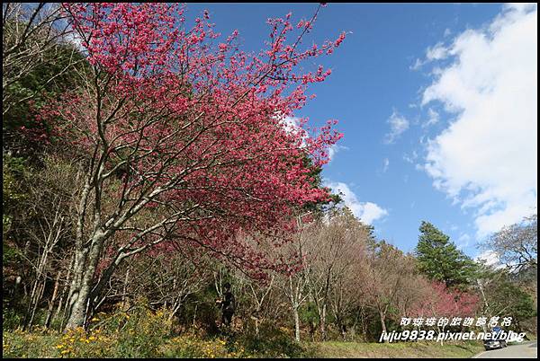 武陵農場82.JPG 武陵農場82.JPG