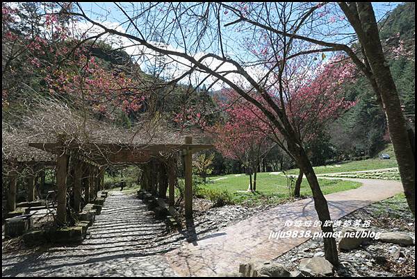 武陵農場84.JPG 武陵農場84.JPG