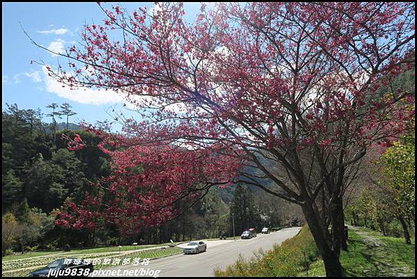 武陵農場83.JPG 武陵農場83.JPG