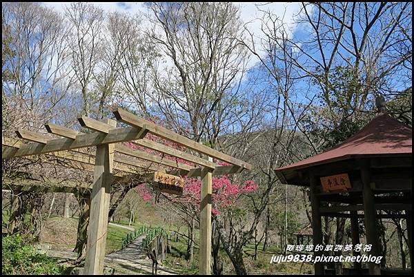 武陵農場85.JPG 武陵農場85.JPG