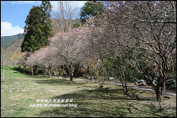 武陵農場88.JPG 武陵農場88.JPG