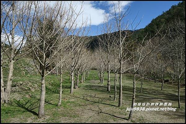 武陵農場87.JPG 武陵農場87.JPG