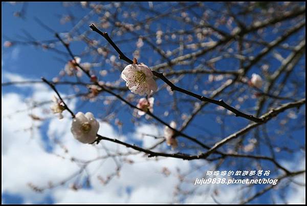 武陵農場90.JPG 武陵農場90.JPG