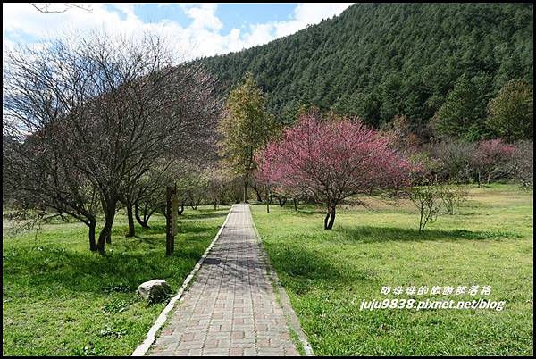 武陵農場92.JPG 武陵農場92.JPG