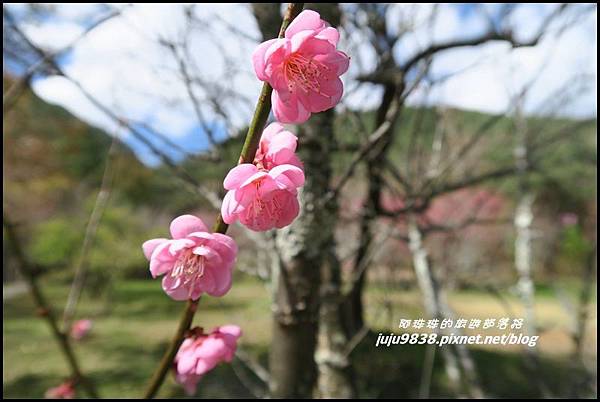 武陵農場93.JPG 武陵農場93.JPG