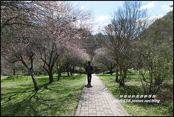 武陵農場96.JPG 武陵農場96.JPG