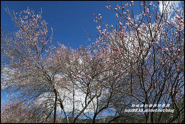 武陵農場97.JPG 武陵農場97.JPG