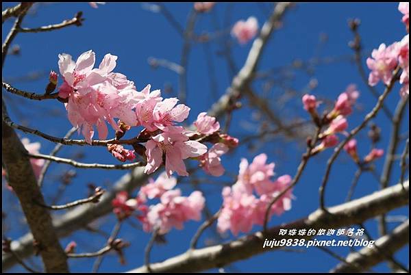 武陵農場98.JPG 武陵農場98.JPG