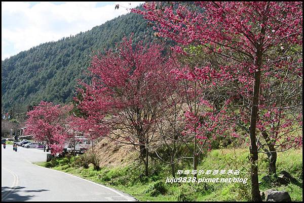 武陵農場101.JPG 武陵農場101.JPG