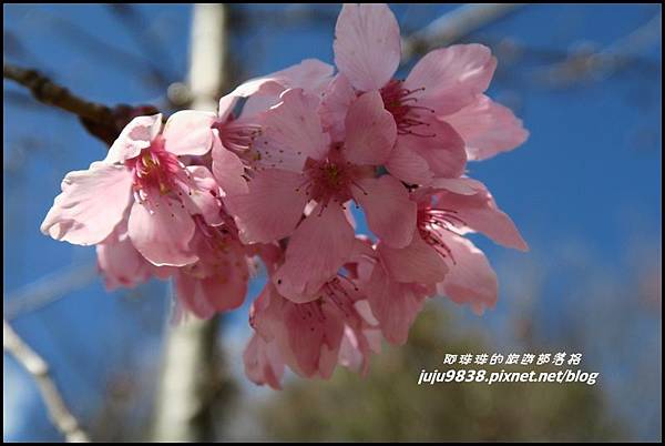 武陵農場100.JPG 武陵農場100.JPG