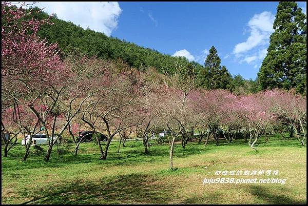 武陵農場103.JPG 武陵農場103.JPG