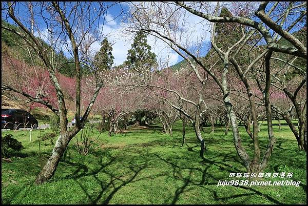 武陵農場108.JPG 武陵農場108.JPG