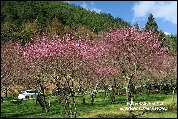 武陵農場110.JPG 武陵農場110.JPG
