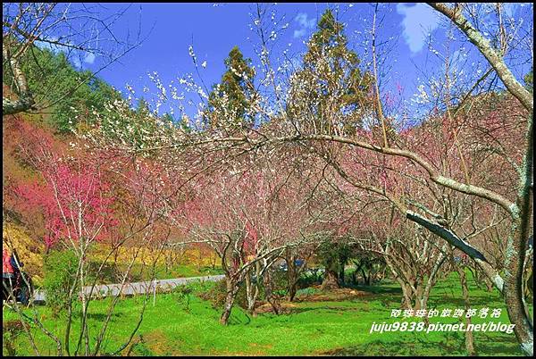 武陵農場112.JPG 武陵農場112.JPG