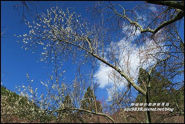 武陵農場113.JPG 武陵農場113.JPG