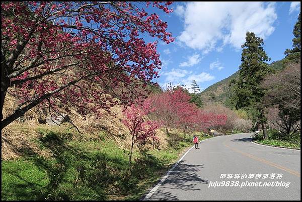 武陵農場116.JPG 武陵農場116.JPG