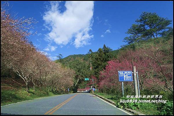 武陵農場117.JPG 武陵農場117.JPG