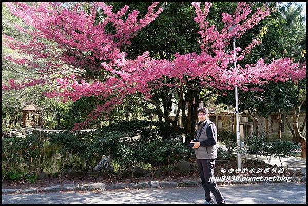 武陵農場120.JPG 武陵農場120.JPG
