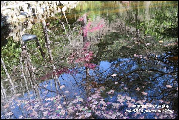 武陵農場121.JPG 武陵農場121.JPG