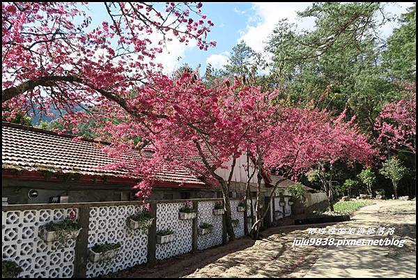 武陵農場124.JPG 武陵農場124.JPG