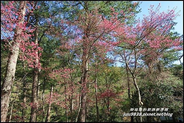 武陵農場127.JPG 武陵農場127.JPG