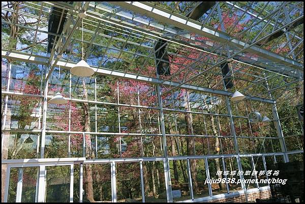 武陵農場126.JPG 武陵農場126.JPG