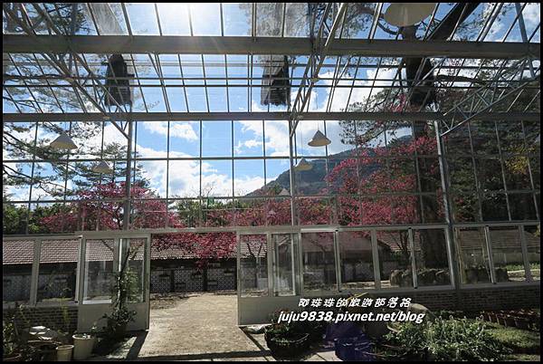 武陵農場128.JPG 武陵農場128.JPG