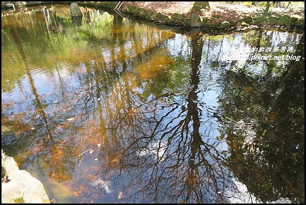 武陵農場131.JPG 武陵農場131.JPG