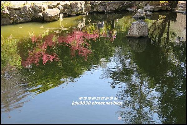 武陵農場130.JPG 武陵農場130.JPG