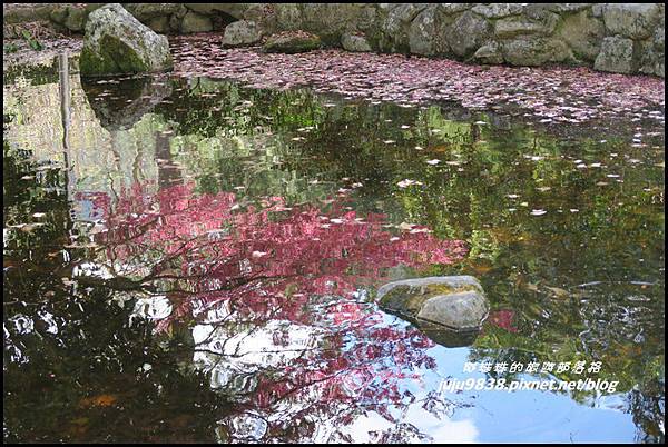 武陵農場132.JPG 武陵農場132.JPG