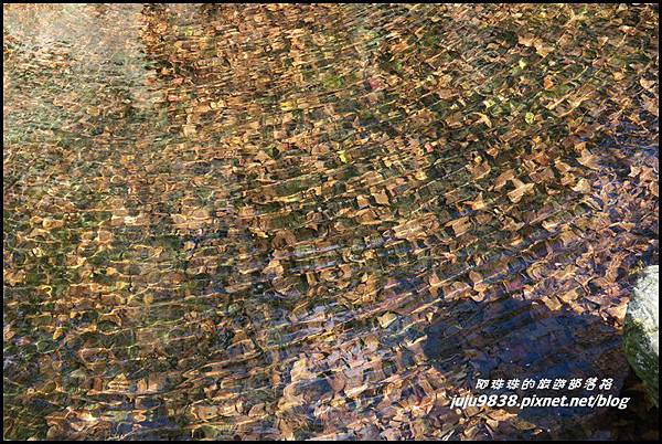 武陵農場134.JPG 武陵農場134.JPG