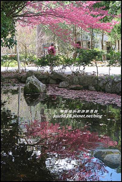 武陵農場133.JPG 武陵農場133.JPG