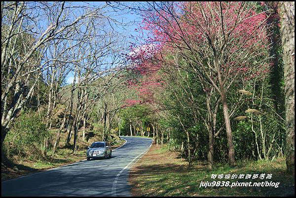 武陵農場137.JPG 武陵農場137.JPG