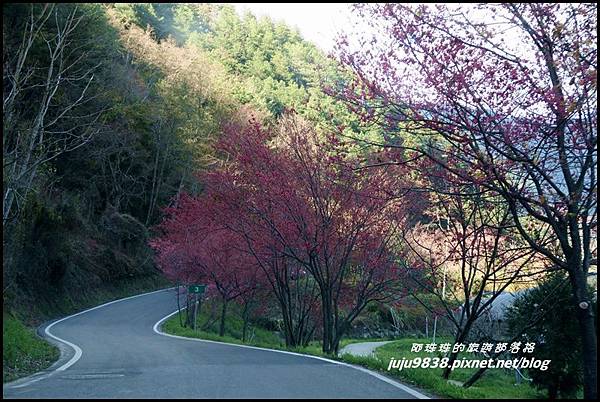 武陵農場138.JPG 武陵農場138.JPG