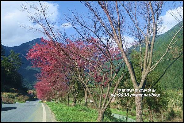 武陵農場139.JPG 武陵農場139.JPG