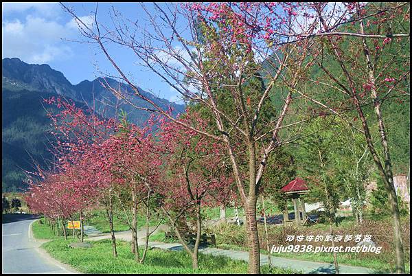 武陵農場141.JPG 武陵農場141.JPG