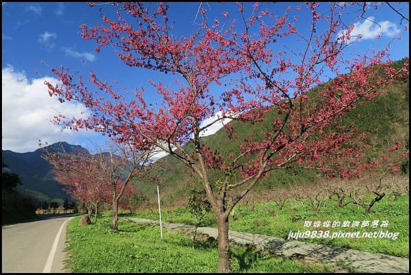 武陵農場142.JPG 武陵農場142.JPG