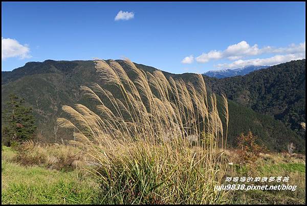 武陵農場146.JPG 武陵農場146.JPG