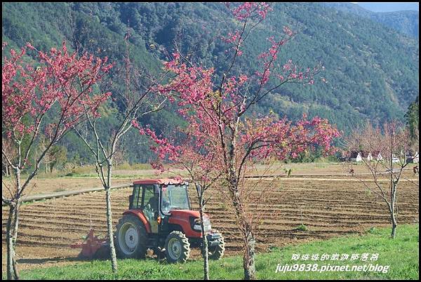 武陵農場151.JPG 武陵農場151.JPG