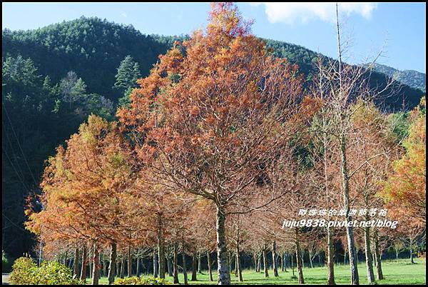 武陵農場155.JPG 武陵農場155.JPG