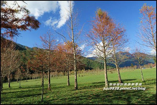 武陵農場157.JPG 武陵農場157.JPG