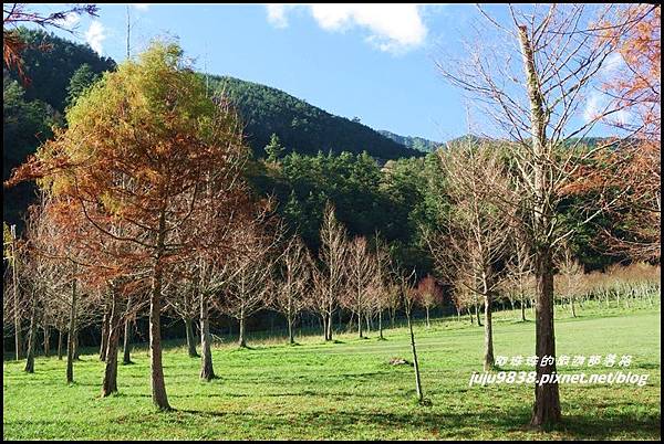 武陵農場159.JPG 武陵農場159.JPG