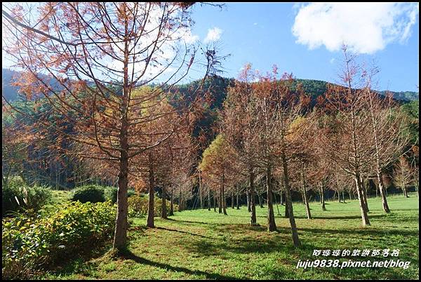 武陵農場158.JPG 武陵農場158.JPG