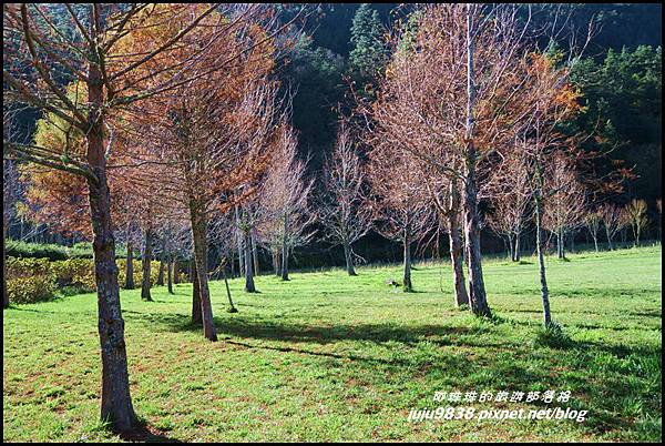 武陵農場160.JPG 武陵農場160.JPG