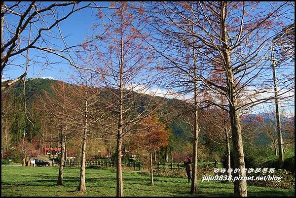 武陵農場161.JPG 武陵農場161.JPG