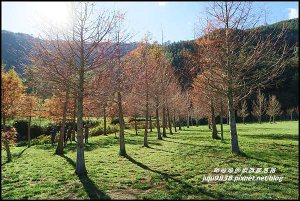 武陵農場163.JPG 武陵農場163.JPG