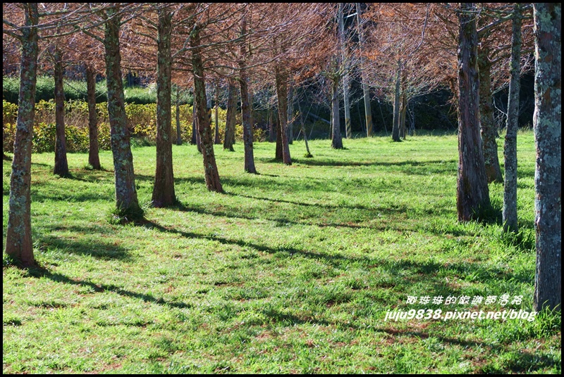 武陵農場164.JPG 武陵農場164.JPG