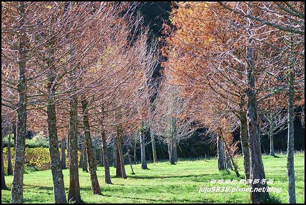 武陵農場165.JPG 武陵農場165.JPG