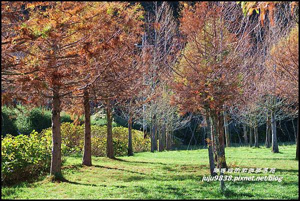 武陵農場166.JPG 武陵農場166.JPG